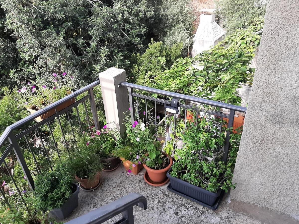 Dubrovnik Apartment Nepe Екстер'єр фото