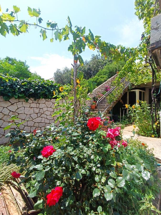 Dubrovnik Apartment Nepe Екстер'єр фото
